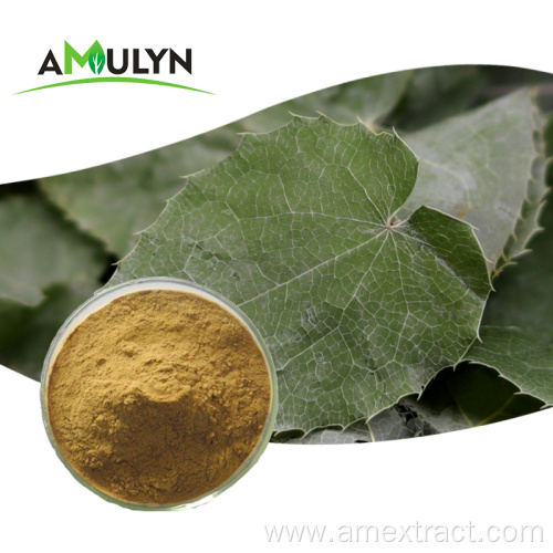 Horny goat weed powder epimedium extract icariin